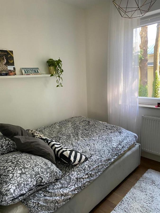 Apartament 1-go Maja Apartment Olsztyn (Warmian-Masurian)